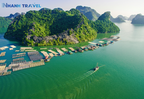 Quy trình thiết kế chương trình tour chuyên nghiệp